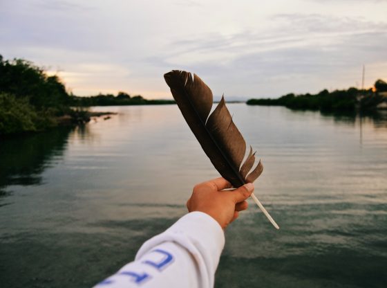 A hand holds a healing energy tool feather out to a lake.